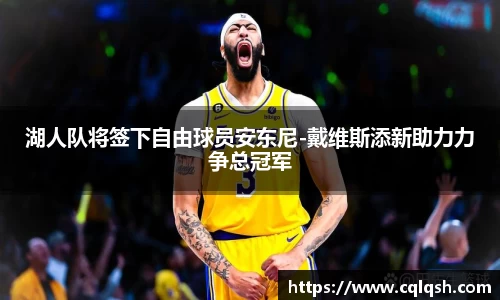 湖人队将签下自由球员安东尼-戴维斯添新助力力争总冠军