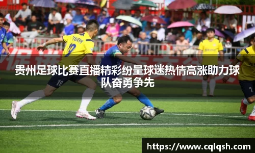 熊猫体育官网