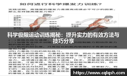 熊猫体育平台官网