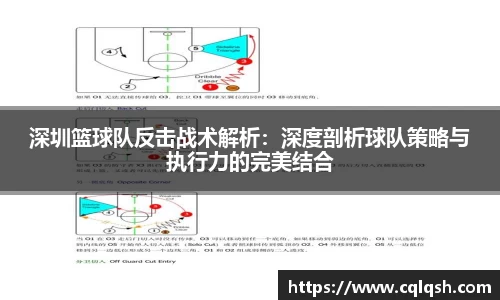 熊猫体育平台官网