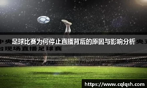 熊猫体育app