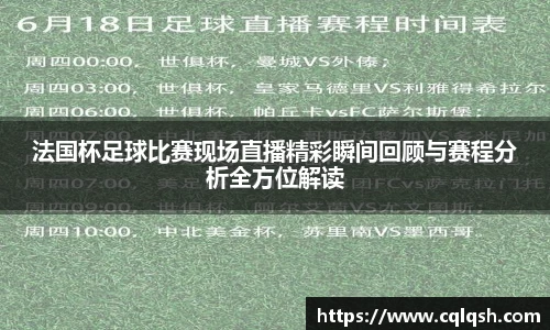 法国杯足球比赛现场直播精彩瞬间回顾与赛程分析全方位解读